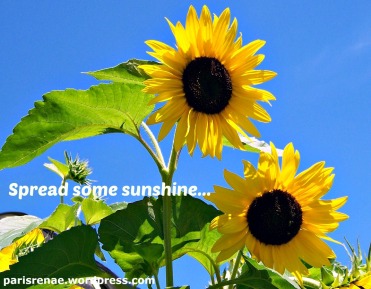 spread sunshine